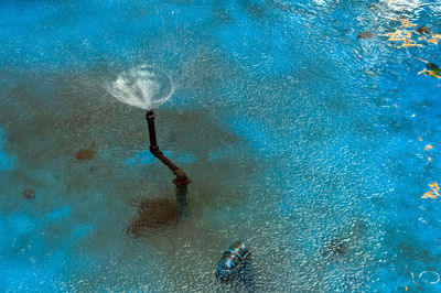 High angle view of person swimming underwater