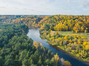 Scenic view of river amidst trees against sky