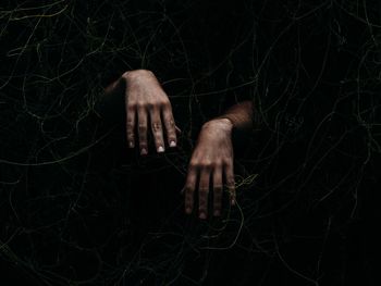 Cropped hands emerging from plants at night