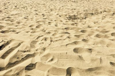 Close-up of footprints on sand at beach