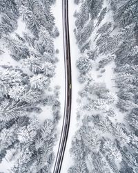 Aerial view of road amidst snow covered trees in forest