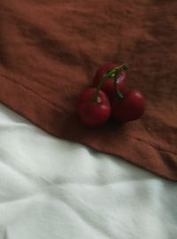 Close-up of chili peppers on bed