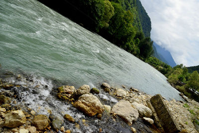 Scenic view of tree against sky