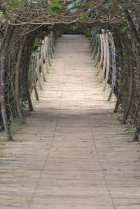 Empty narrow walkway along trees