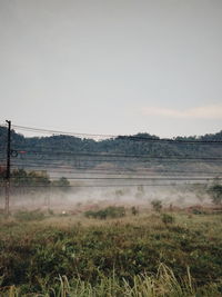 Scenic view of field against clear sky