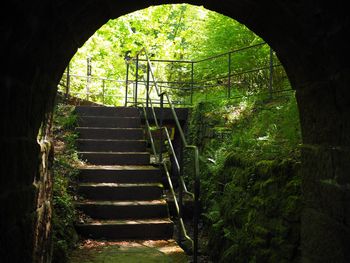 Steps leading to building