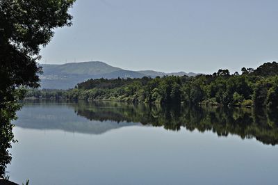 Scenic view of lake by trees against clear sky