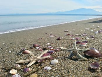 Surface level of sandy beach