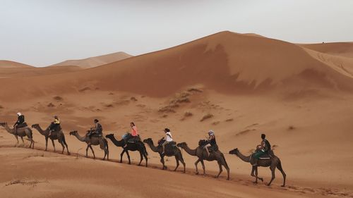 People riding horses in desert