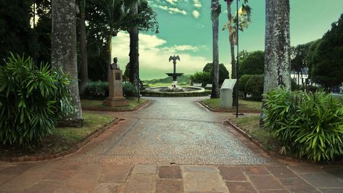 Walkway leading towards palm trees