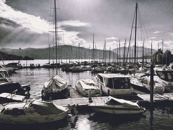 Boats moored at harbor