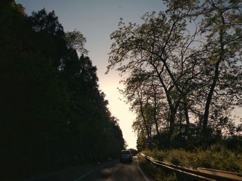 Road amidst trees against sky