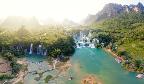 High angle view of river amidst trees