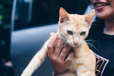 Midsection of man holding cat