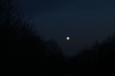 Silhouette trees against clear sky at night