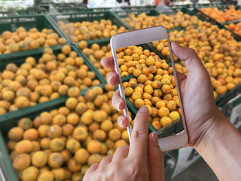 Midsection of person holding fruits for sale at market