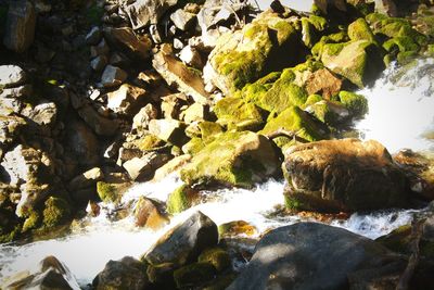 River amidst rocks