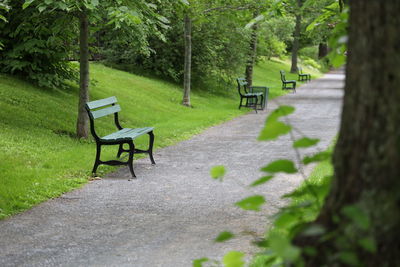 Empty bench in park