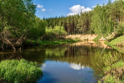 Scenic view of lake in forest against sky