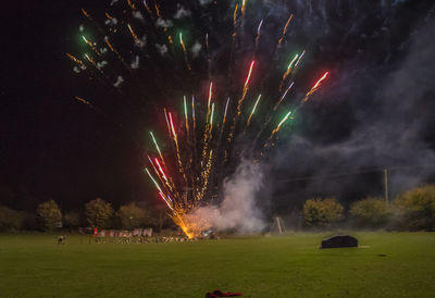 Firework display at night