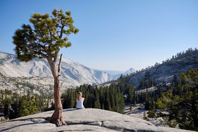 Rear view of woman sitting by tree on rock against sky