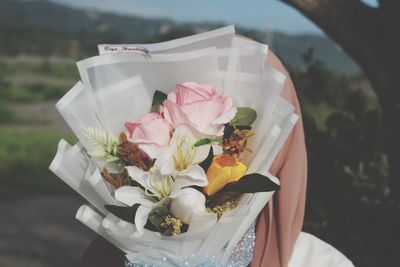 Close-up of hand holding white flower
