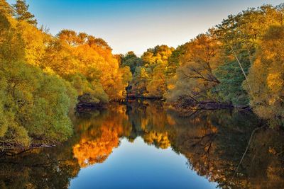 Reflection of trees in lake against sky during autumn