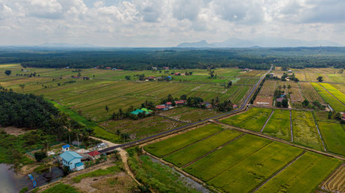 High angle view of agricultural field against sky