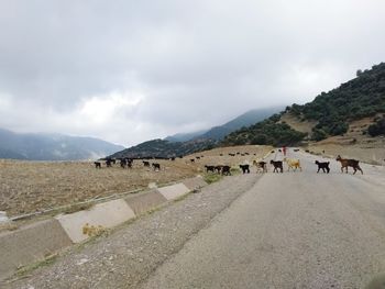 People on road by mountains against sky