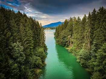 Scenic view of river amidst trees against sky