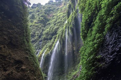 Scenic view of waterfall