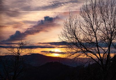 Silhouette bare tree against romantic sky at sunset