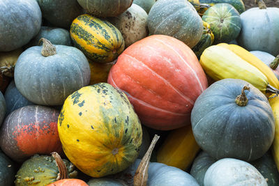 Full frame shot of pumpkins in market