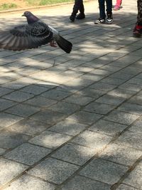 Woman standing on pavement