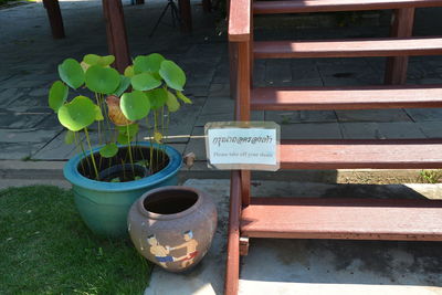 Close-up of potted plant