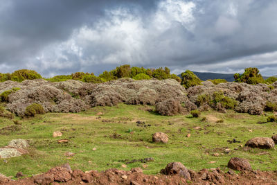 Panoramic view of rocks on field against sky