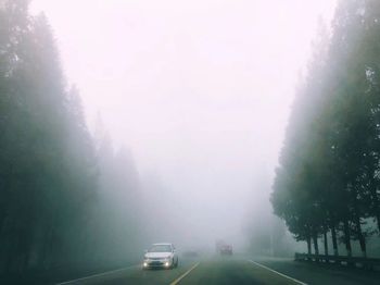 Cars on road in foggy weather