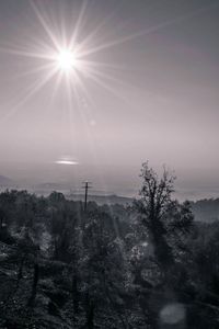 Sun shining over sea