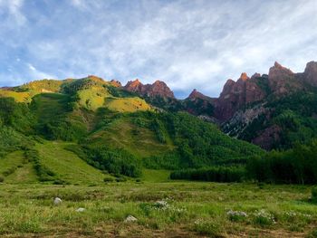Scenic view of field against sky