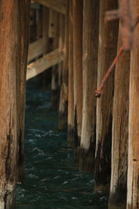 wood