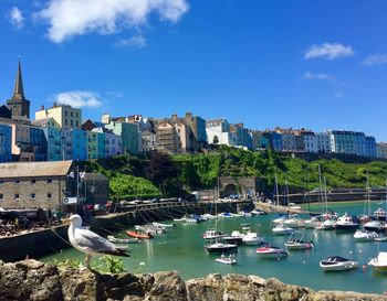 Boats moored at harbor against blue sky