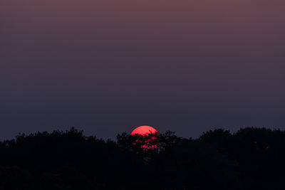 Low angle view of silhouette trees against sky at night