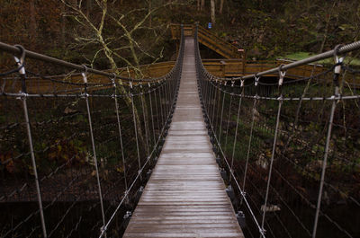 Footbridge in forest