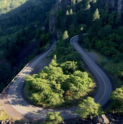 High angle view of road amidst trees in forest