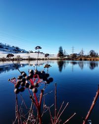 Scenic view of lake against clear blue sky