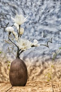 Close-up of white flowering plant