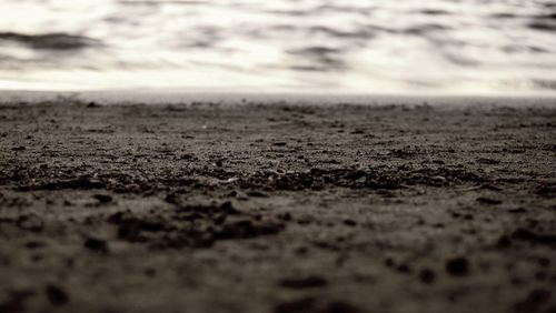 Surface level of sandy beach