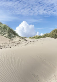 Low angle view of sandy beach at summer