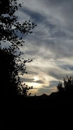 Silhouette of trees against cloudy sky