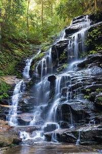 Scenic view of waterfall in forest